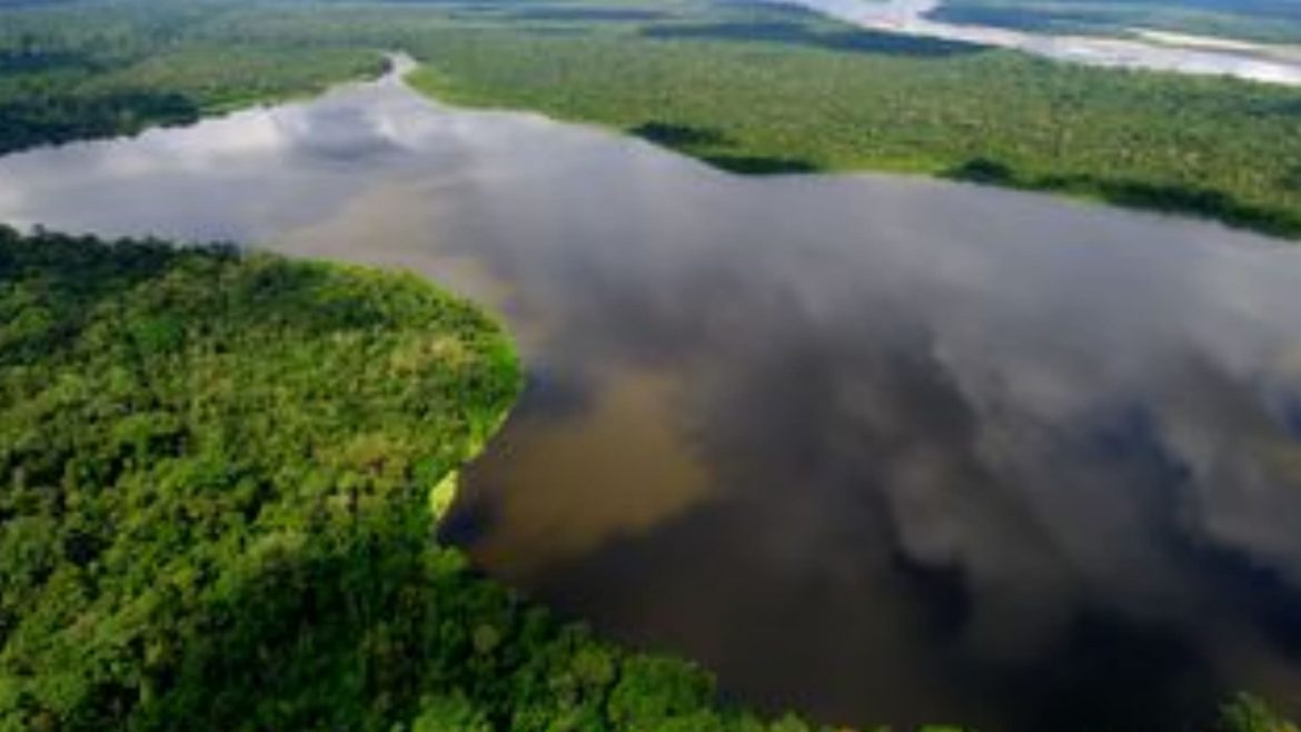 Uso de energia renovável no Brasil é três vezes maior que o mundial