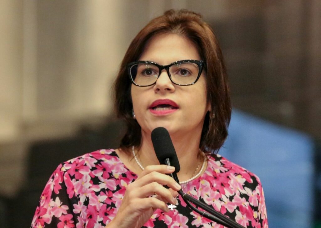 Avança PL de Priscila que estabelece políticas públicas para a primeira infância em Pernambuco