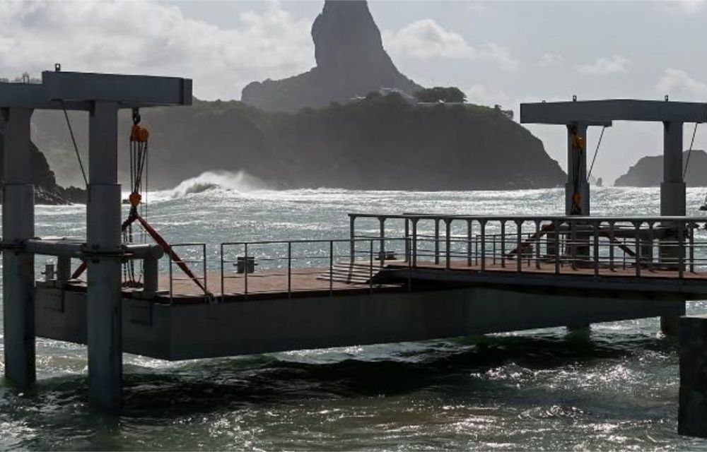 MPPE recomenda restrições para evitar ataques de tubarão em Fernando de Noronha