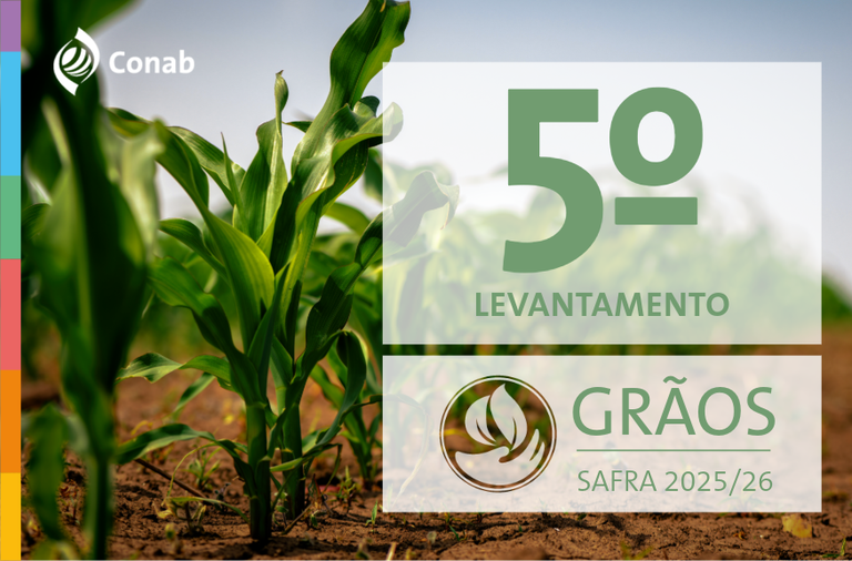 Produção de grãos no Brasil é estimada em 353,4 milhões de toneladas em 2025/26 