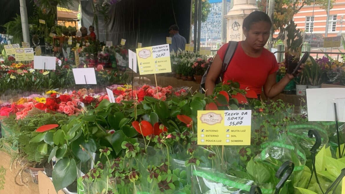 Feira de Flores de Holambra desembarca em Olinda com mais de 200 espécies e preços a partir de R$ 5
