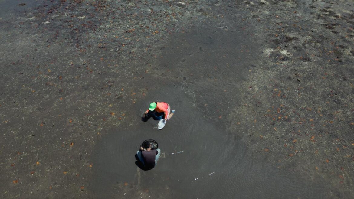 Rexistir estreia em junho no São Luiz e lança olhar sobre a desigualdade no acesso à água